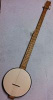 Extra long Banjo (Pete Seeger style)